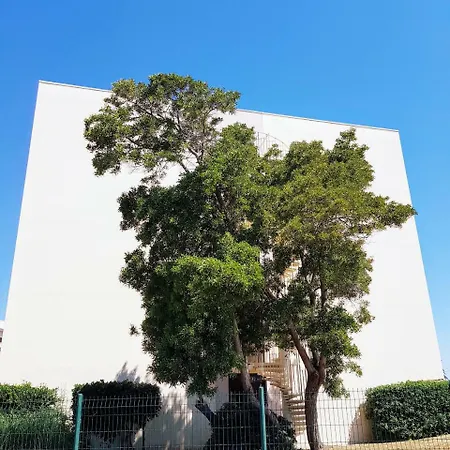 Nid Douillet Au Calme Avec Balcon 304 * كانيه
